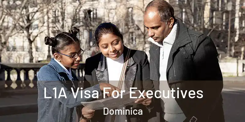  L1A Visa For Executives Dominica