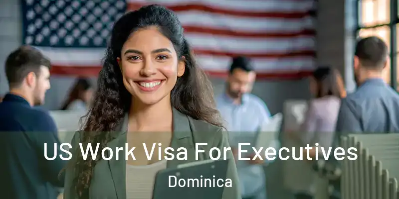  US Work Visa For Executives Dominica