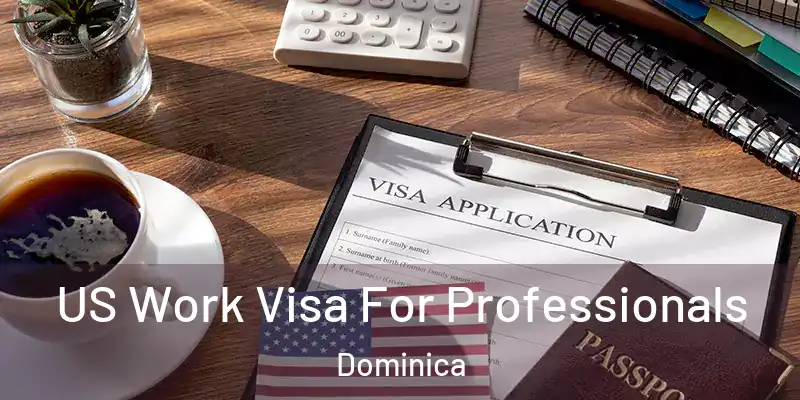  US Work Visa For Professionals Dominica